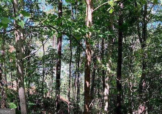 Photo 2 of Land for sale at Lot 140 Red Oak Trl #140, Ellijay, GA 30540 | MLS# 10792304 | Listing updated on 2026-10-19