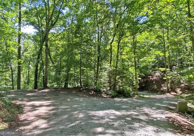 Homes for sale in Dahlonega, GA | 24ac Old River Road, Dahlonega, GA 30533 | MLS# 10787015