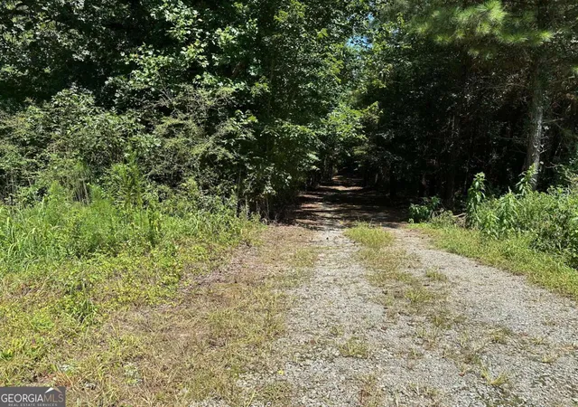 1st image of 305 Wildcat Rd, Buchanan, GA 30113 | MLS# 10824472