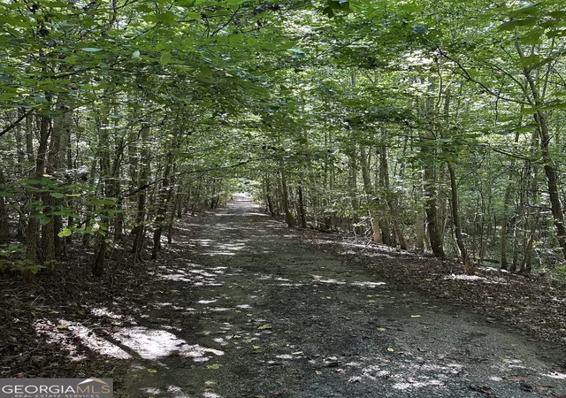 2nd image of 305 Wildcat Rd, Buchanan, GA 30113 | MLS# 10824472