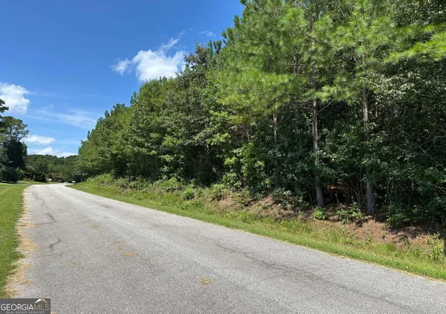 3rd image of 305 Wildcat Rd, Buchanan, GA 30113 | MLS# 10824472