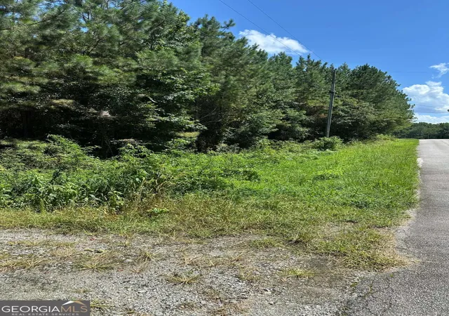 4th image of 305 Wildcat Rd, Buchanan, GA 30113 | MLS# 10824472