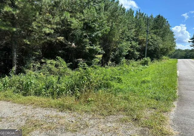5th image of 305 Wildcat Rd, Buchanan, GA 30113 | MLS# 10824472