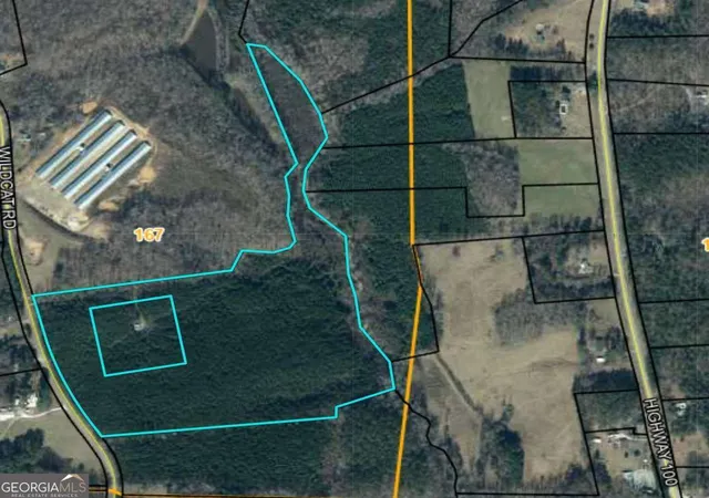 9th image of 305 Wildcat Rd, Buchanan, GA 30113 | MLS# 10824472