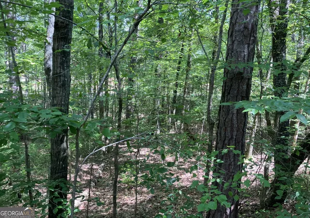 Photo 2 of Land for sale at 203 Ac Johnson Mill Rd, Hamilton, GA 31811 | MLS# 10831193 | Listing updated on 2026-09-05