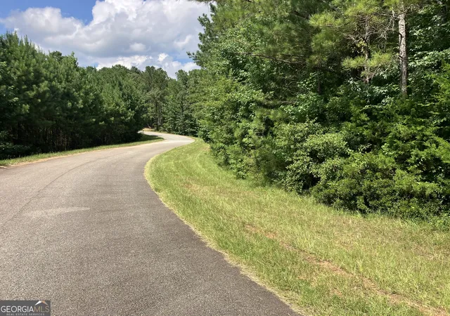 Photo 3 of Land for sale at 203 Ac Johnson Mill Rd, Hamilton, GA 31811 | MLS# 10831193 | Listing updated on 2026-09-05