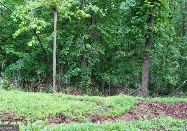 Photo 3 of Land for sale at 0 Quail Mountain Trl, Gainesville, GA 30506 | MLS# 10742942 | Listing updated on 2026-05-12