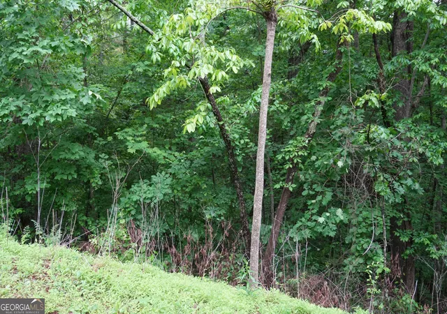 Photo 4 of Land for sale at 0 Quail Mountain Trl, Gainesville, GA 30506 | MLS# 10742942 | Listing updated on 2026-05-12