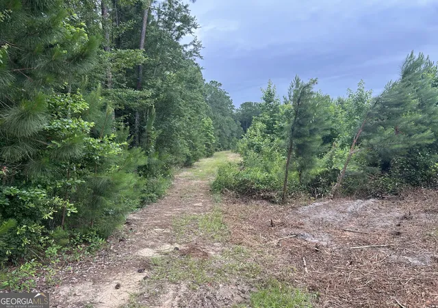 10th image of 0 B Wynn Ln, Chester, GA 31012 | MLS# 10785675