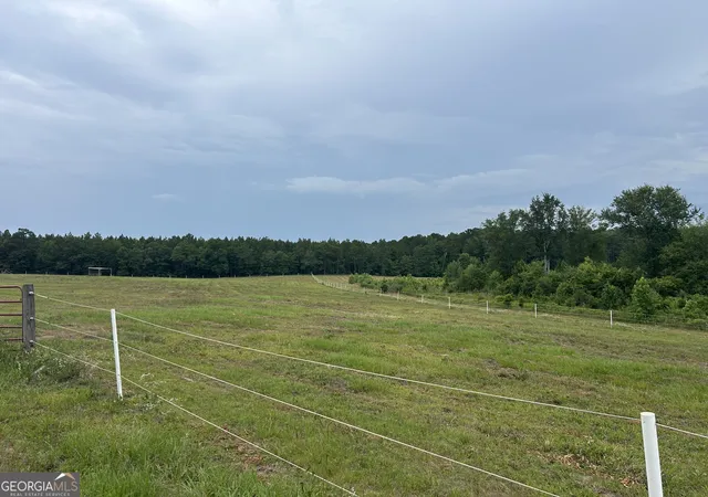 1st image of 0 B Wynn Ln, Chester, GA 31012 | MLS# 10785675