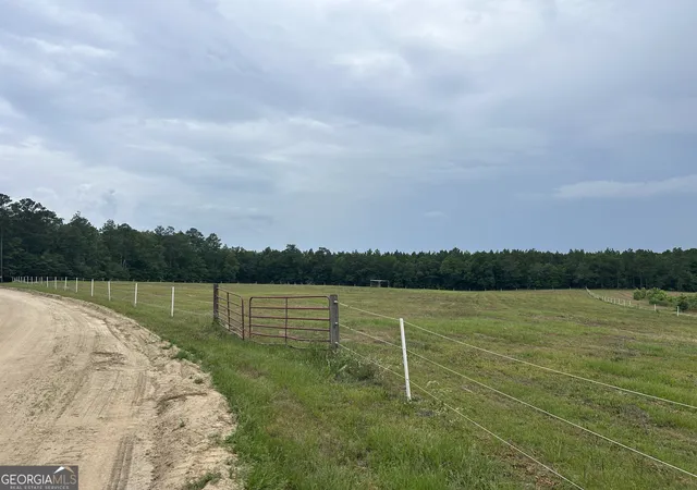 2nd image of 0 B Wynn Ln, Chester, GA 31012 | MLS# 10785675