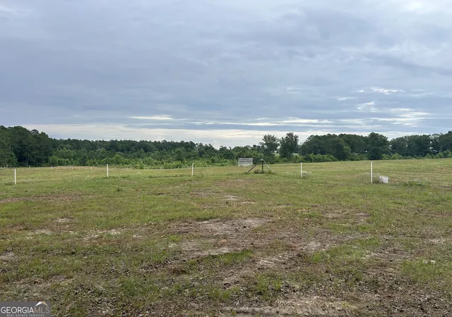 4th image of 0 B Wynn Ln, Chester, GA 31012 | MLS# 10785675