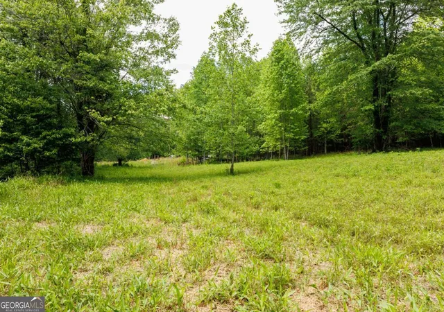 Homes for sale in Blue Ridge, GA | 0 Galloway Rd, Blue Ridge, GA 30513 | MLS# 10761097
