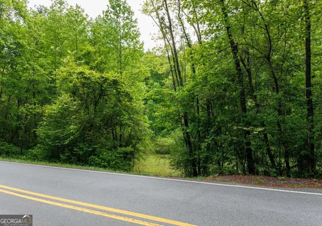 Homes for sale in Blue Ridge, GA | 0 Galloway Rd, Blue Ridge, GA 30513 | MLS# 10761097