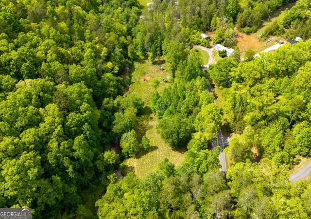 Homes for sale in Blue Ridge, GA | 0 Galloway Rd, Blue Ridge, GA 30513 | MLS# 10761097