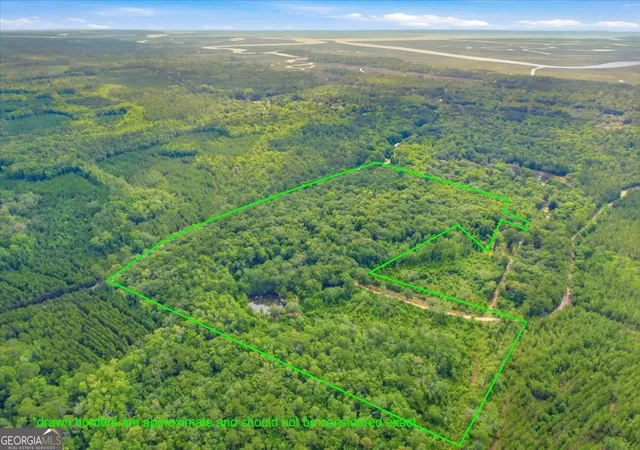 Photo 1 of Land for sale at 1679 Brighton Rd Se, Darien, GA 31305 | MLS# 10776954 | Listing updated on 2026-09-18