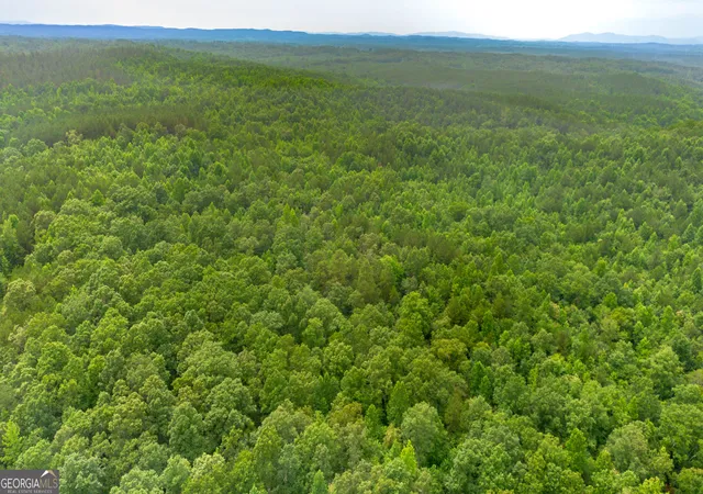 2nd image of 0 Vinyard Lot 1, 2, 4, 5, 6, Fruithurst, AL 36262 | MLS# 10800700