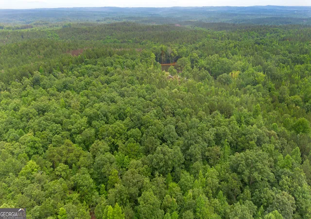 3rd image of 0 Vinyard Lot 1, 2, 4, 5, 6, Fruithurst, AL 36262 | MLS# 10800700