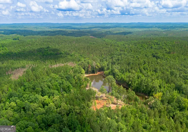 4th image of 0 Vinyard Lot 1, 2, 4, 5, 6, Fruithurst, AL 36262 | MLS# 10800700