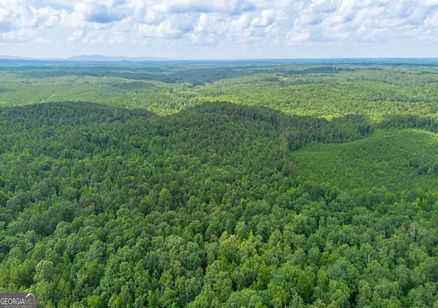 5th image of 0 Vinyard Lot 1, 2, 4, 5, 6, Fruithurst, AL 36262 | MLS# 10800700