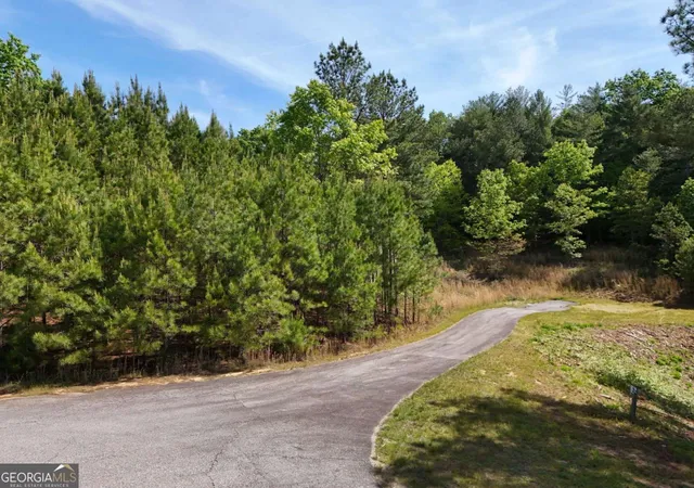 5th image of Lot 101 Big Knoll Dr, Blairsville, GA 30512 | MLS# 10758753