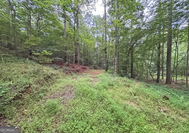 4th image of 10Ac Yonder Wy, Talking Rock, GA 30175 | MLS# 10808057