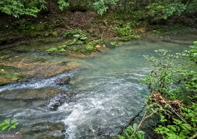 5th image of 10Ac Yonder Wy, Talking Rock, GA 30175 | MLS# 10808057