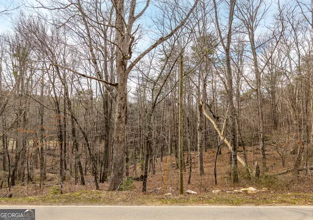 Photo 3 of Land for sale at Lt 167 Henderson Mountain Rd, Jasper, GA 30143 | MLS# 10700270 | Listing updated on 2026-10-01