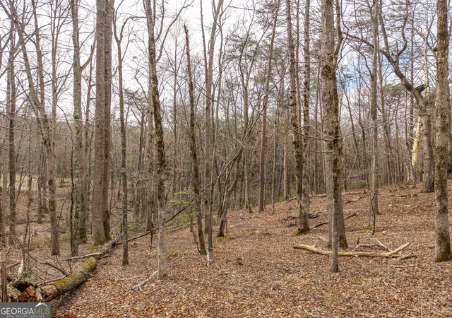 Photo 3 of Land for sale at Lt 167 Henderson Mountain Rd, Jasper, GA 30143 | MLS# 10700270 | Listing updated on 2026-10-01