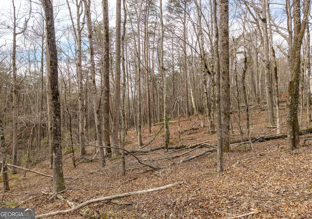 Photo 4 of Land for sale at Lt 167 Henderson Mountain Rd, Jasper, GA 30143 | MLS# 10700270 | Listing updated on 2026-10-01