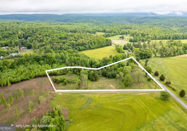 Homes for sale in Trenton, GA | 0 Ga 301 Hwy #LOT 2, Trenton, GA 30752 | MLS# 10757479