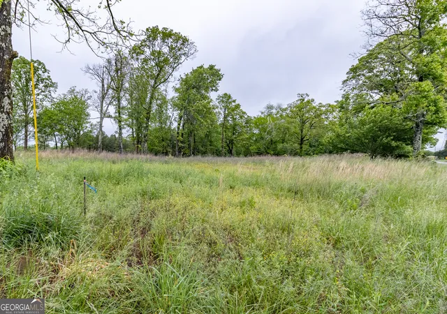 Homes for sale in Trenton, GA | 0 Ga 301 Hwy #LOT 2, Trenton, GA 30752 | MLS# 10757479