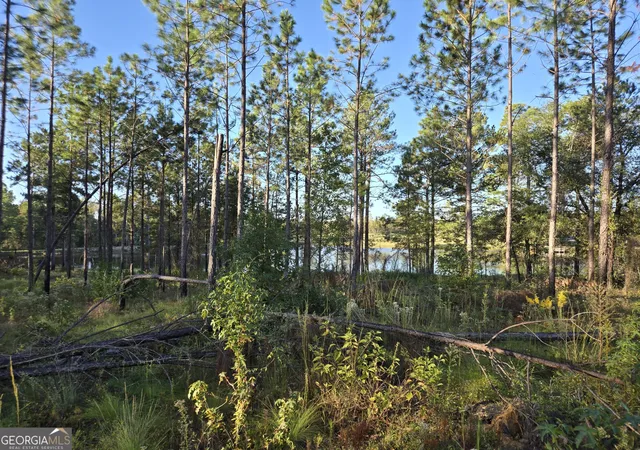 2nd image of 600 Alton Lawson Rd, Adrian, GA 31002 | MLS# 10823242