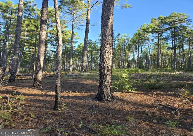 3rd image of 600 Alton Lawson Rd, Adrian, GA 31002 | MLS# 10823242