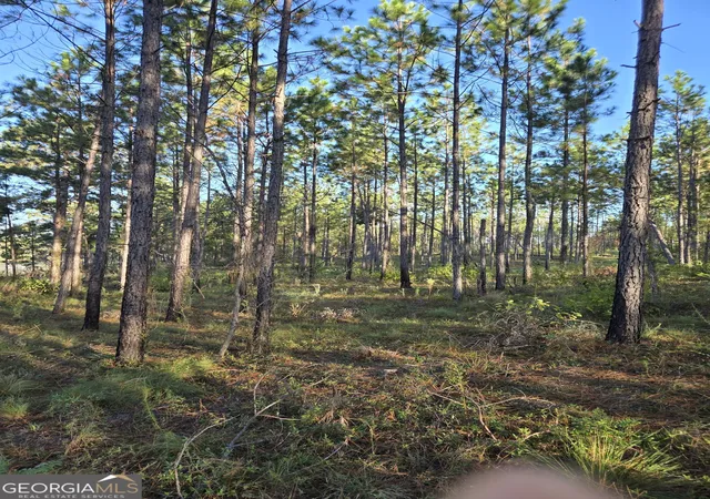 4th image of 600 Alton Lawson Rd, Adrian, GA 31002 | MLS# 10823242