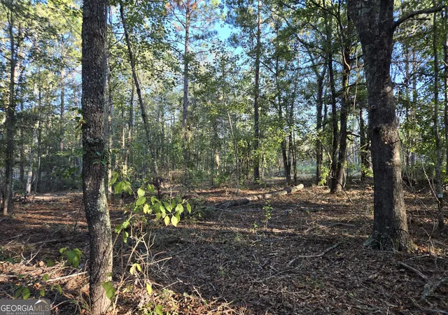 5th image of 600 Alton Lawson Rd, Adrian, GA 31002 | MLS# 10823242