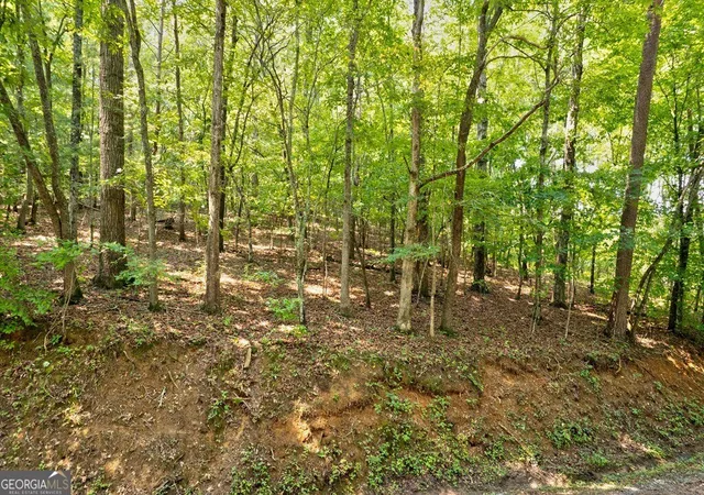 15th image of 0 Shady Ln, Mineral Bluff, GA 30559 | MLS# 10819027