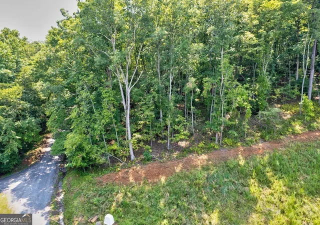 2nd image of 0 Shady Ln, Mineral Bluff, GA 30559 | MLS# 10819027