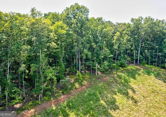 3rd image of 0 Shady Ln, Mineral Bluff, GA 30559 | MLS# 10819027