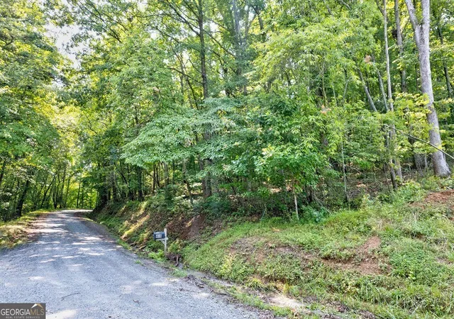 4th image of 0 Shady Ln, Mineral Bluff, GA 30559 | MLS# 10819027