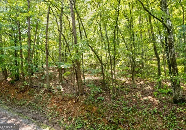 5th image of 0 Shady Ln, Mineral Bluff, GA 30559 | MLS# 10819027