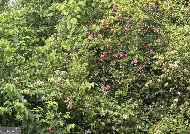 Photo 3 of Land for sale at 565b Avery Rd, Canton, GA 30115 | MLS# 10755935 | Listing updated on 2026-07-24
