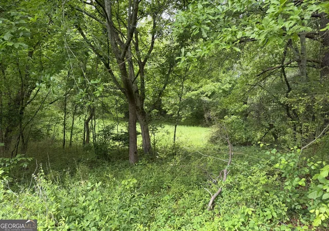 Photo 4 of Land for sale at 565b Avery Rd, Canton, GA 30115 | MLS# 10755935 | Listing updated on 2026-07-24
