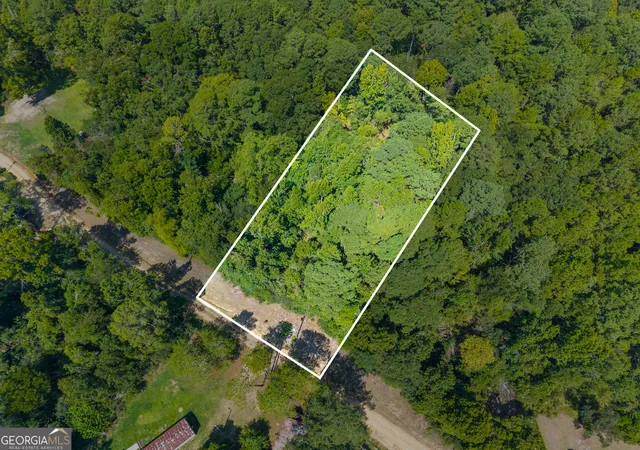Land for sale at 0 Cutter Ln, Sylvania, GA 30467 | MLS# 10801356
