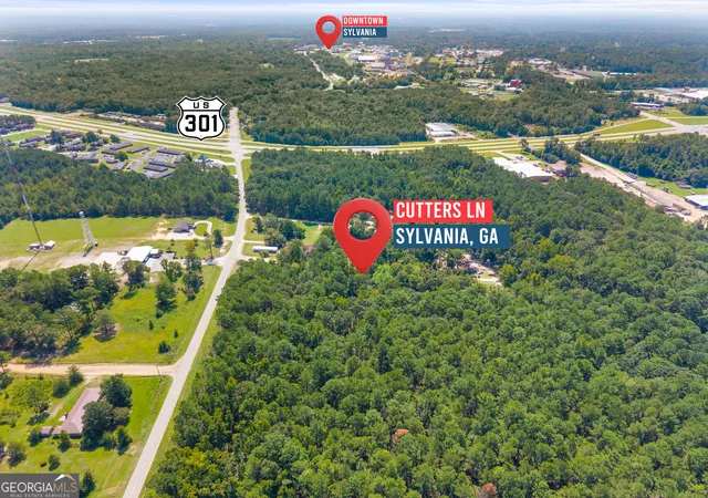Photo 4 of Land for sale at 0 Cutter Ln, Sylvania, GA 30467 | MLS# 10801356 | Listing updated on 2026-09-19