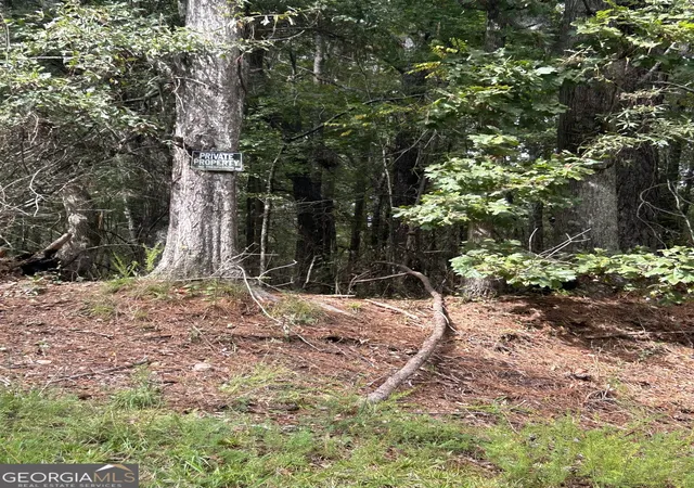 Photo 3 of Land for sale at 0 Anderson Ter, Snellville, GA 30039 | MLS# 10621987 | Listing updated on 2026-10-07
