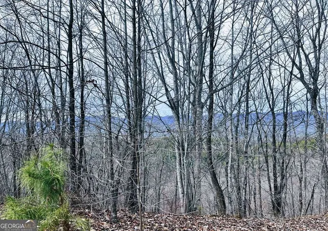 Photo 3 of Land for sale at 1441 Valley View Hts Ln, Andrews, NC 28901 | MLS# 10739888 | Listing updated on 2026-06-18