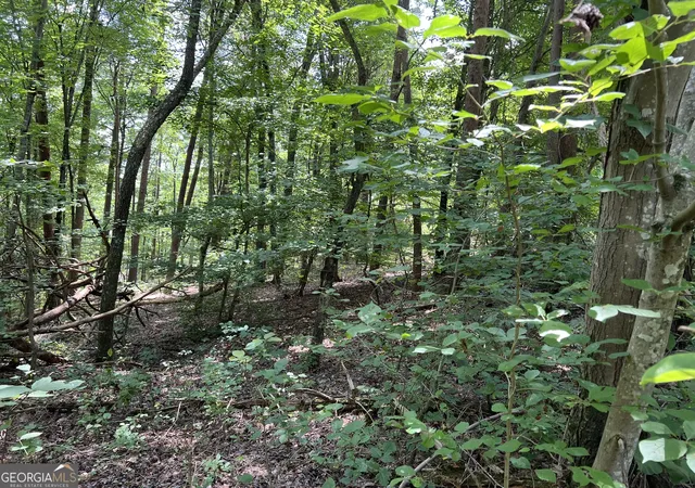 Photo 1 of Land for sale at 0 Lavender Trl, Rome, GA 30165 | MLS# 10553634 | Listing updated on 2026-07-19