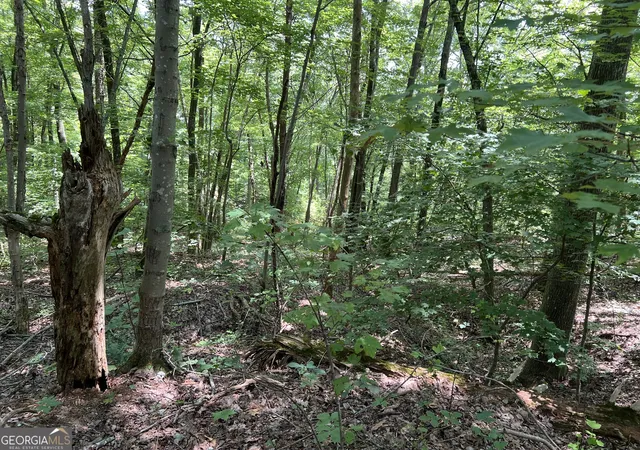 Photo 2 of Land for sale at 0 Lavender Trl, Rome, GA 30165 | MLS# 10553634 | Listing updated on 2026-07-19