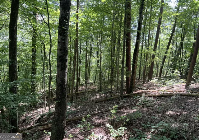 Photo 3 of Land for sale at 0 Lavender Trl, Rome, GA 30165 | MLS# 10553634 | Listing updated on 2026-07-19